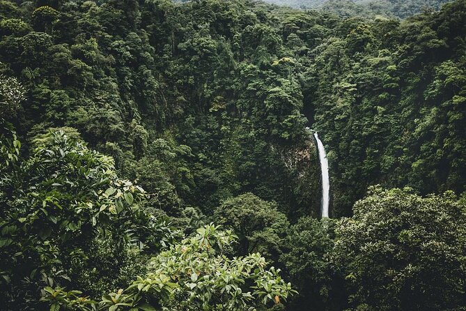 3-Course Tropical Fusion Cooking Class - Key Things to Know Before You Go