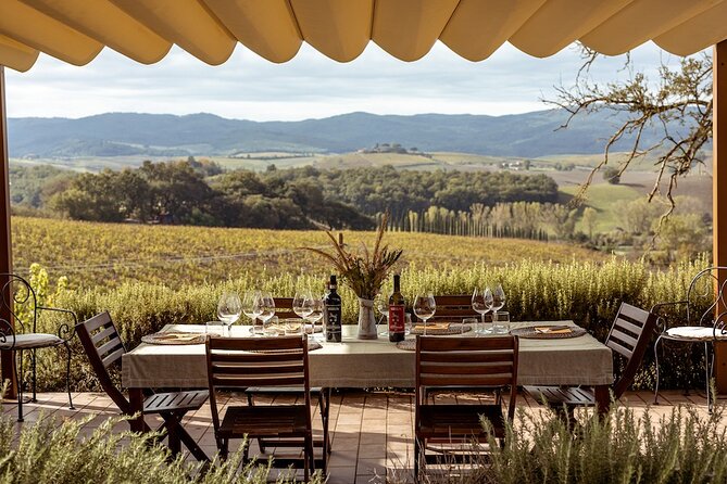 A Brunello Cooking Class with Vineyards View Winery - Price and value: is $313.35 a good deal?