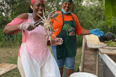 A Evening Cultural Experience Through Food Cooking Class St. Croix - From cleaning to seasoning: how the crab-cooking lesson works