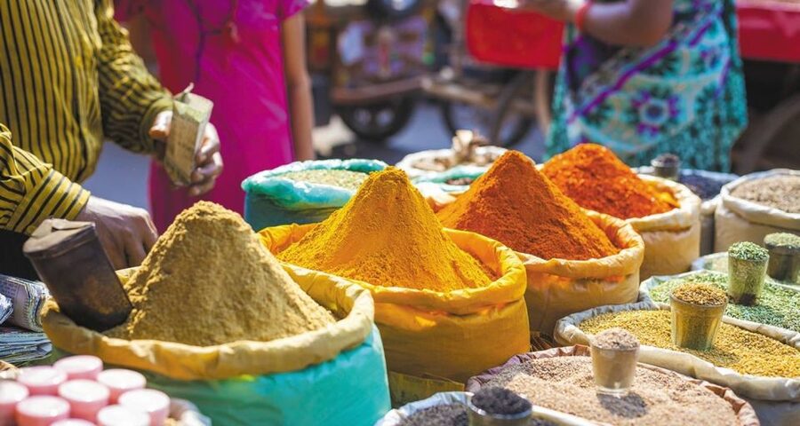 Agra: Indian Food Private Cooking Class - Who This Class Suits Best (And Who Should Reconsider)