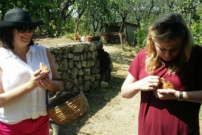 Amalfi Coast & Sorrento Cooking Class School at Farmhouse - The Cooking Class: Small Group, Real Questions, Hands-On Skills