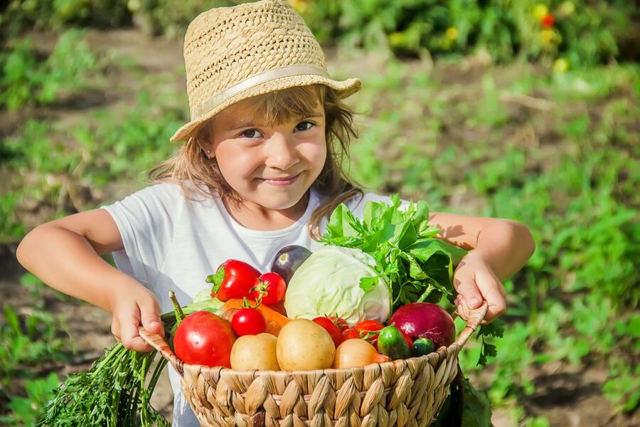 Amalfi: Cooking Class and Farmhouse Visit With Meal - Key highlights worth showing up for