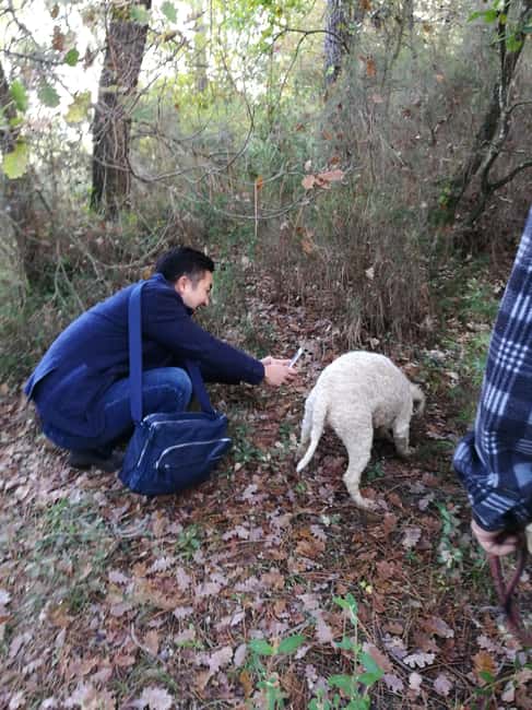 Arezzo: truffle hunting, tasting, and a cooking class with truffles. - Key things I’d circle before you go