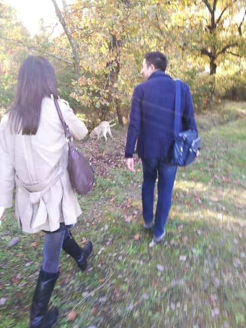 Arezzo: truffle hunting, tasting, and a cooking class with truffles. - Truffle hunting with Luigi and Dynamo: how the hunt actually works