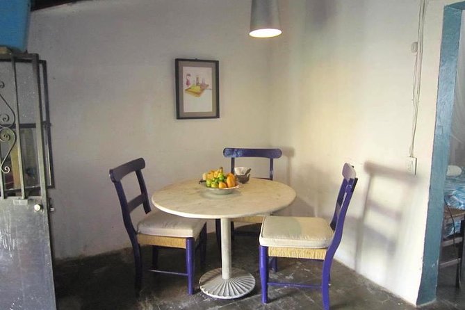 Authentic Cooking Class in Puerto Vallarta with Local Chef, Manu - Price and value of a $119 private class