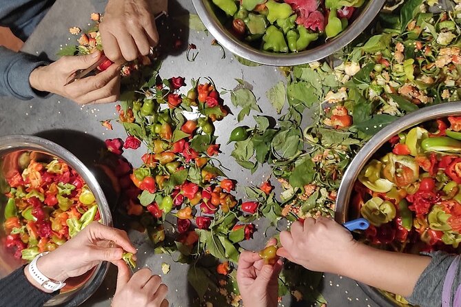 Authentic Garden to Table Cooking Class in Dubrovnik Countryside - The Garden Walk: Where the Ingredients Actually Begin