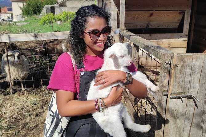 Authentic Garden to Table Cooking Class in Dubrovnik Countryside - Eating Time: Homemade Wine, Tasting, and What to Expect on Your Plate