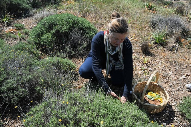 Authentic Greek Cooking & Foraging Experience in Syros with Maria - The 3-Hour Flow: Foraging, Cooking, and a Real Greek Meal