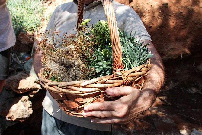 Authentic Greek Cooking & Foraging Experience in Syros with Maria - Getting There Without Headaches: Meeting Point and Transit Upgrade