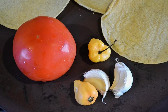 Authentic Mexican Cooking Class in Playa del Carmen - Timing and logistics that can trip you up (and how to handle them)