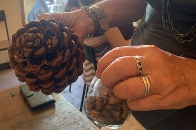 Authentic Pesto cooking class in Manarola at Cinque Terre - Basil and pine nuts: the ingredient lesson behind the classic sauce