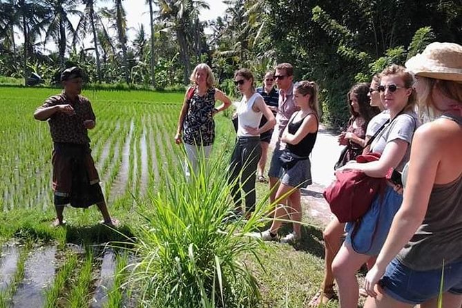 Bali Amazing Cooking Class - Traditional Market Stop: What You Learn Before You Cook