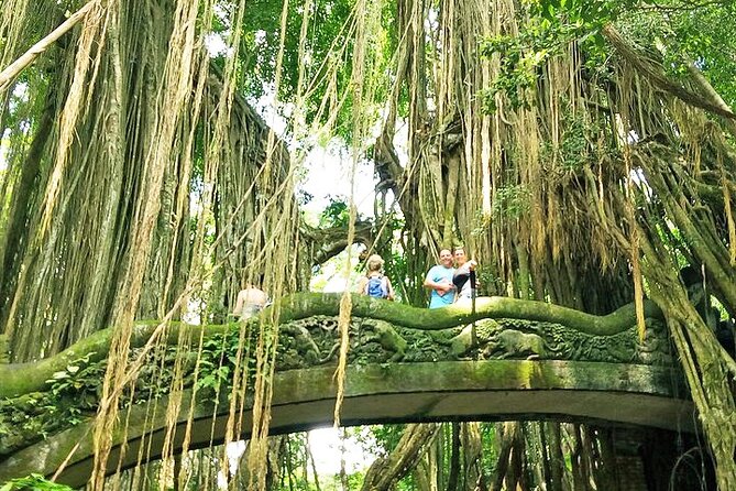 Bali Cooking Class and Ubud Sightseeing Tour - Who should book this Ubud cooking + sights day