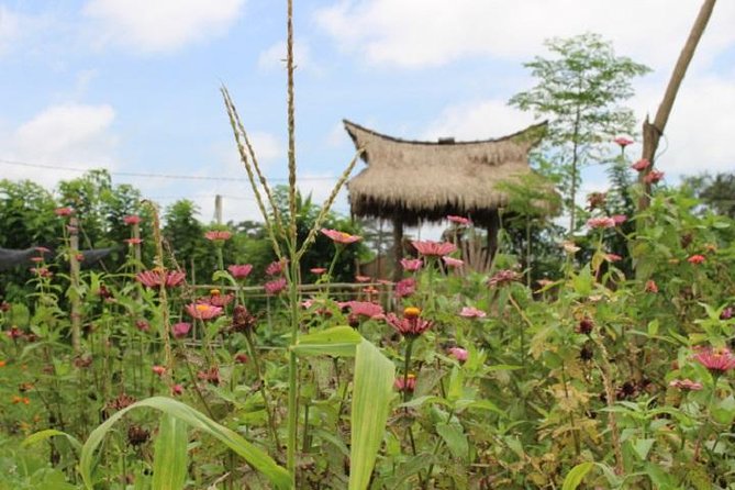Balinese Cooking Class at Organic Farm - Inside Mai Organic Farm: organic farming and Subak context