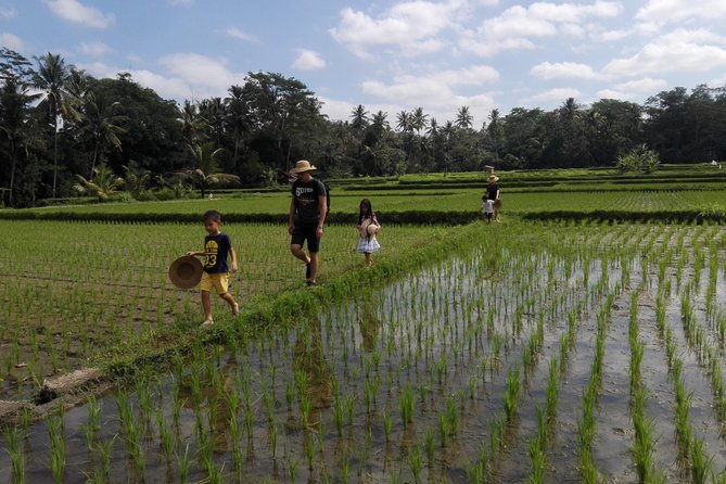Balinese Cooking Class at Organic Farm - Ubud pickup and the 5-hour rhythm outside town