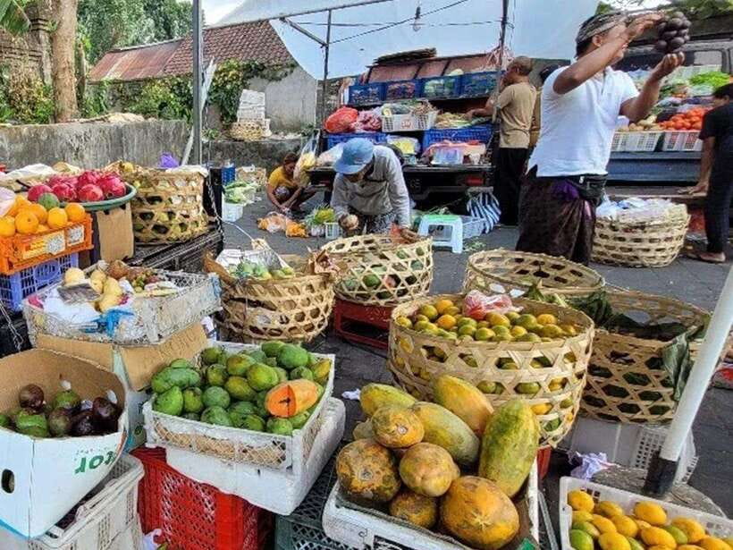 Balinese cooking class/Go shopping at the market, cook, eat - Who should book this Balinese cooking class?