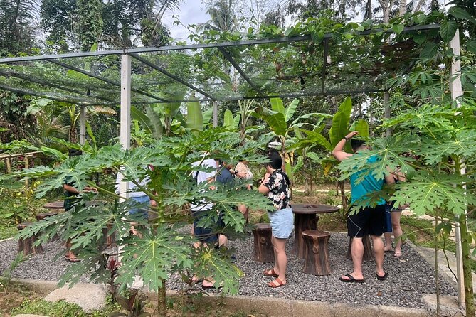 Balinese Cooking Class with Traditional Market Tour - Your 5-course lunch: the meal you finish with your own hands