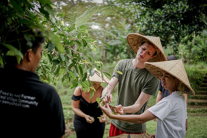Balinese Farm Cooking Class by Pemulan Bali - Getting to the meeting point in Ubud without a headache