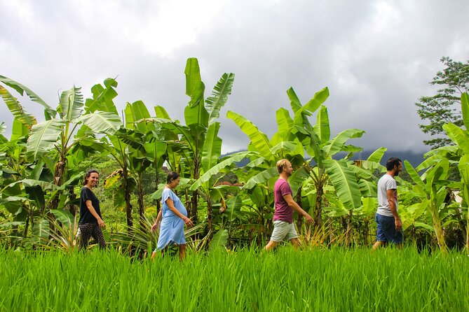 Balinese Vegan Cooking Class with Fresh Harvesting & Garden Tour - The Garden Tour and Harvesting: More Than Pretty Plants