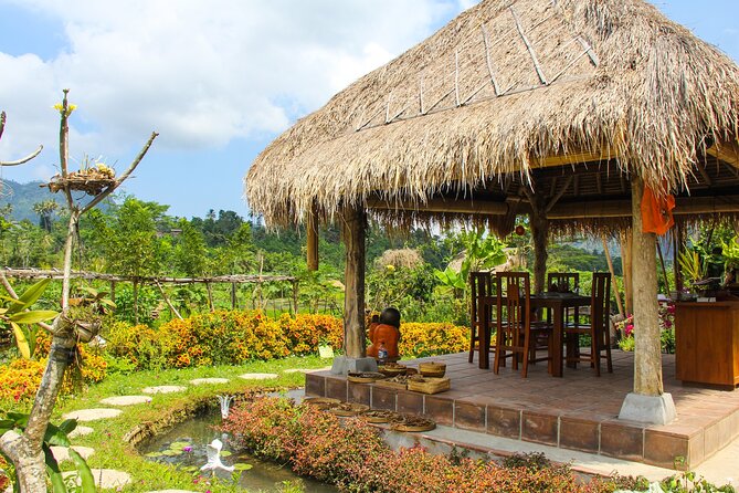 Balinese Vegan Cooking Class with Fresh Harvesting & Garden Tour - The Setting and the View: Eating in the Green After You Cook