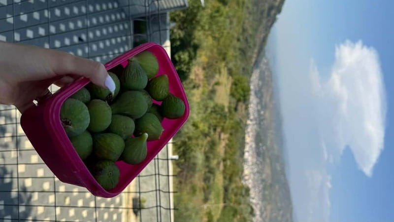 Berat: Farm-to-Table Cooking Class with Local Family - What you’ll actually eat (and why it matters)