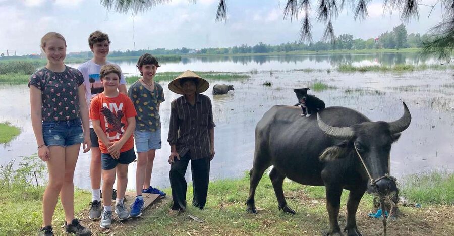 Buffalo Riding, Basket Boat and Cooking Class: Hoian/Da Nang - Quick hits on this Hoian buffalo, basket boat, and cooking combo