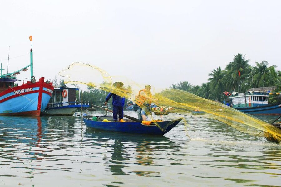 Buffalo Riding, Basket Boat and Cooking Class: Hoian/Da Nang - Timing tips for the morning vs. afternoon slot
