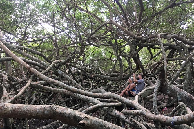 Can Tho Cooking Class in the countryside - Vegetarian available - Small Group Size: The Difference You Feel While Cooking