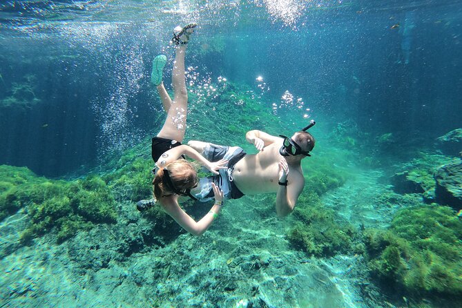Cenotes by Bike and Mayan Cooking Class Half-Day Guided Tour - Cooking cochinita pibil first: how the Mayan pork lesson works