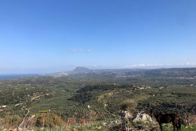 Chania Area: Cooking Class at a Farm in Stylos Village (organic) - Meeting Veggera in Stilos and Getting Into the Flow