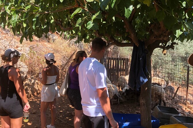 Chania Area: Cooking Class at a Farm in Stylos Village (organic) - Lunch With Wine and Raki: Eating Like You Belong at the Table