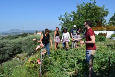 Chania: Authentic Cooking Class in the White Mountains - The Vegetable Garden Start: Learn the Ingredients First