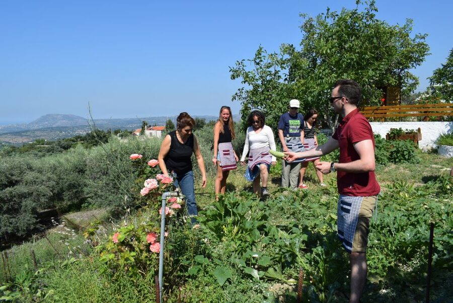 Chania: Authentic Cooking Class in the White Mountains - The Vegetable Garden Start: Learn the Ingredients First