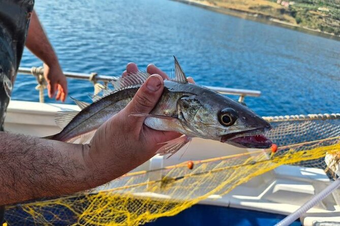 Chania Fishing with Nets Catch and Cook with a Local Fisherman - Key things I’d highlight before you go