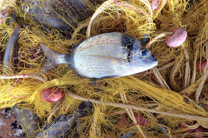 Chania Fishing with Nets Catch and Cook with a Local Fisherman - Breakfast and Seafood Lunch with Drinks: What’s Included and Why It Matters