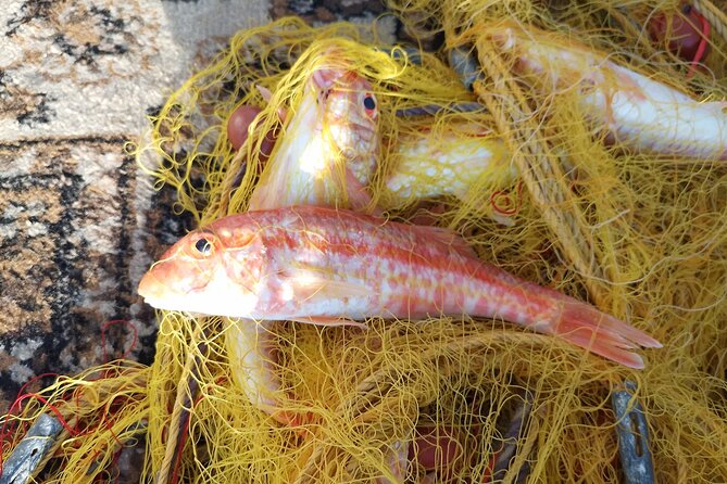 Chania Fishing with Nets Catch and Cook with a Local Fisherman - Price and Value: Is $172.16 a Good Deal?