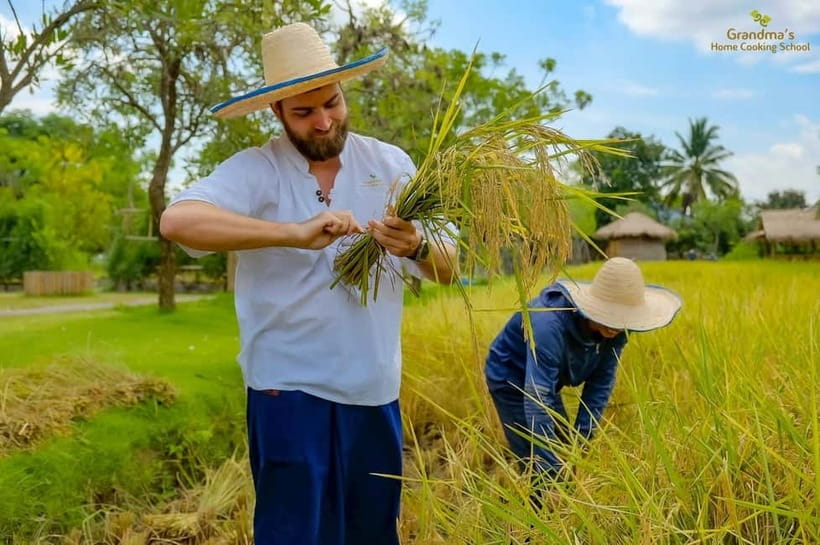 Chiang Mai: Authentic Cooking Class with Market & Farm Visit - Full Day Perks: Traditional Coconut Milk and Extra Time to Eat