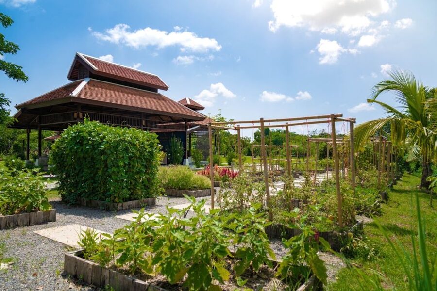 Chiang Mai: Authentic Thai Cooking Class and Farm Visit - Entering a Chiang Mai kitchen where the farm comes first