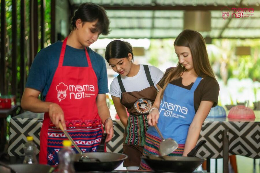 Chiang Mai: Cooking Class with Organic Farm at Mama Noi - Mama Noi’s organic garden: herbs, vegetables, and tortoise moments