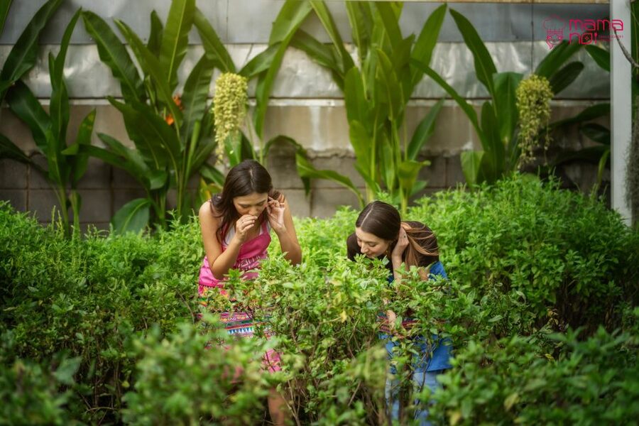 Chiang Mai: Cooking Class with Organic Farm at Mama Noi - Eating what you made: a full meal, not a tiny tasting plate