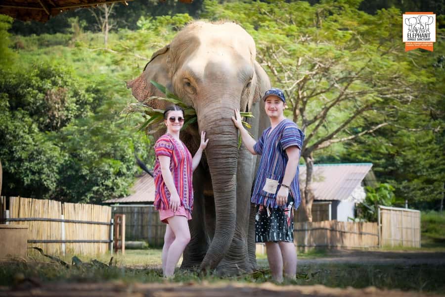 Chiang Mai Elephant Jungle Sanctuary &Mama Noi Cooking Class - Sanctuary Orientation: Learning Elephant Care Before You Meet Them