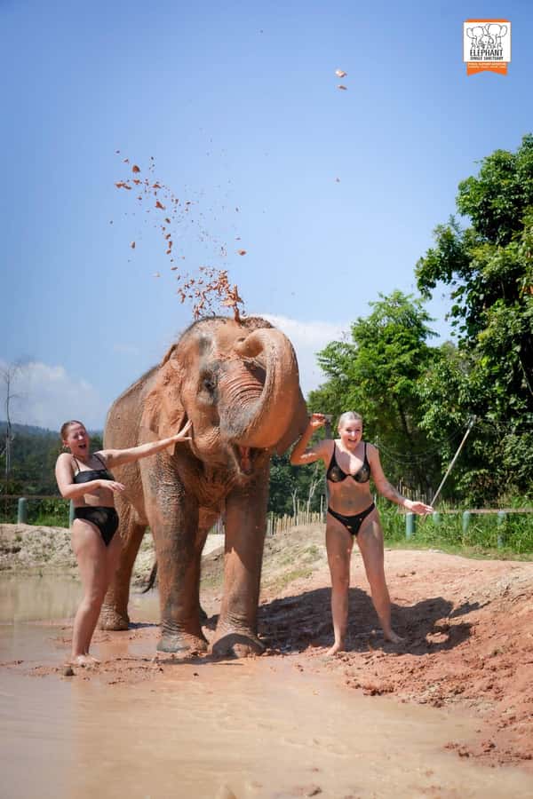 Chiang Mai Elephant Jungle Sanctuary &Mama Noi Cooking Class - Mud Spa and River Bathing Walk: Messy Fun With Purpose