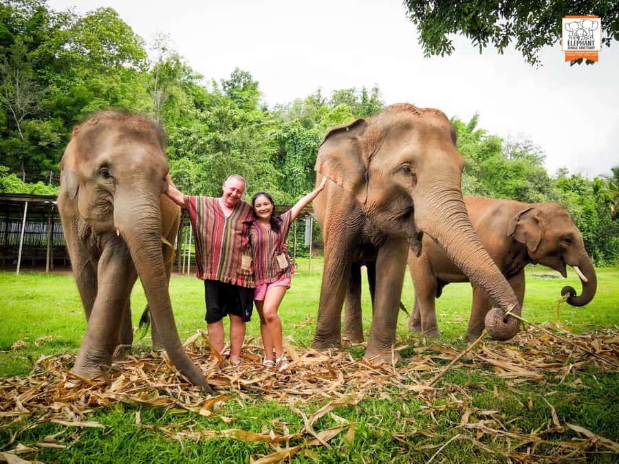 Chiang Mai Elephant Jungle Sanctuary &Mama Noi Cooking Class - Lunch After Elephant Time: A Break That Actually Helps You Enjoy the Cooking Later