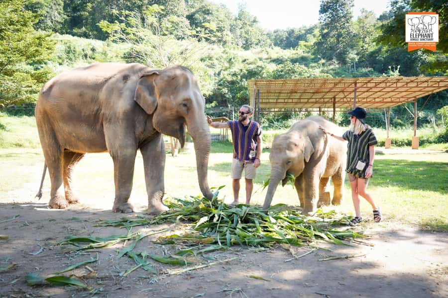 Chiang Mai Elephant Jungle Sanctuary &Mama Noi Cooking Class - Mama Noi Organic Garden: Fresh Vegetables, Real Farming, Real Flavor
