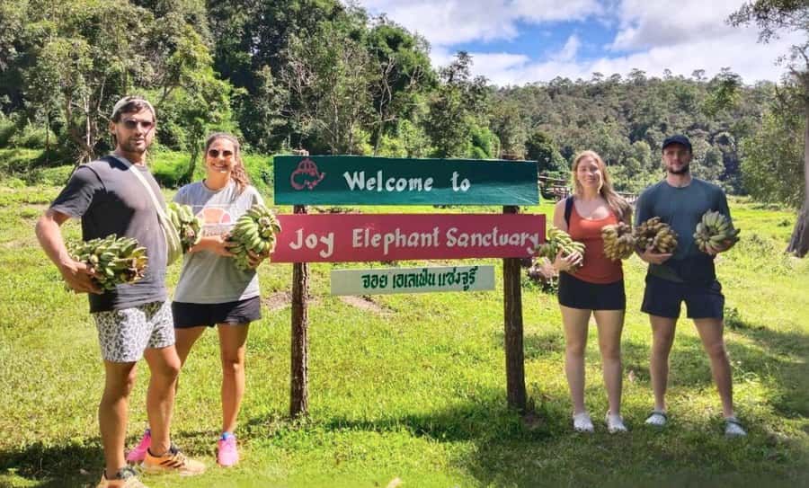 Chiang Mai: Ethical Elephant Sanctuary & Thai Cooking Class - Lunch turns into a hands-on Thai cooking class with Aim