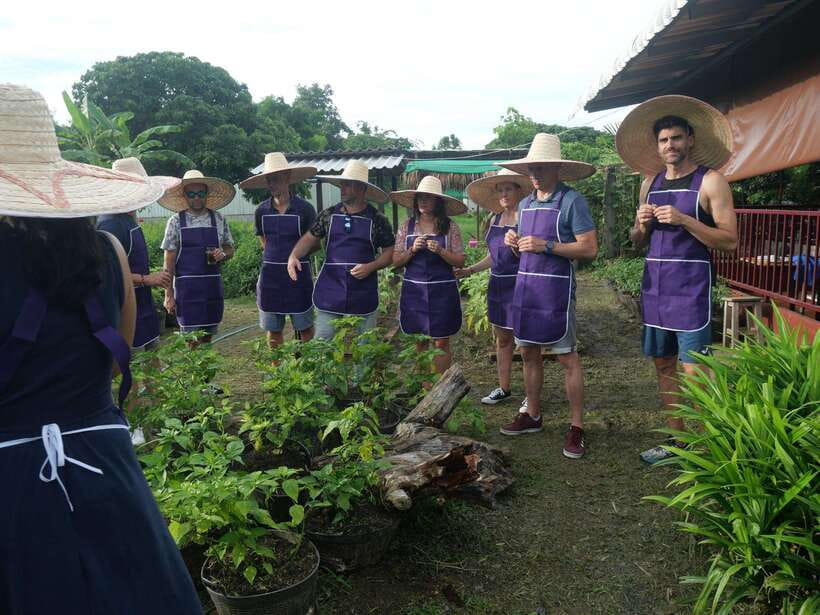 Chiang Mai: Half Day Cooking Class at Organic Farm - A 5-Hour Cooking Class That Starts With Shopping in Chiang Mai