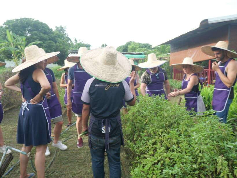 Chiang Mai: Half Day Cooking Class at Organic Farm - Price and Value: What $31 Buys in Skills, Ingredients, and Time