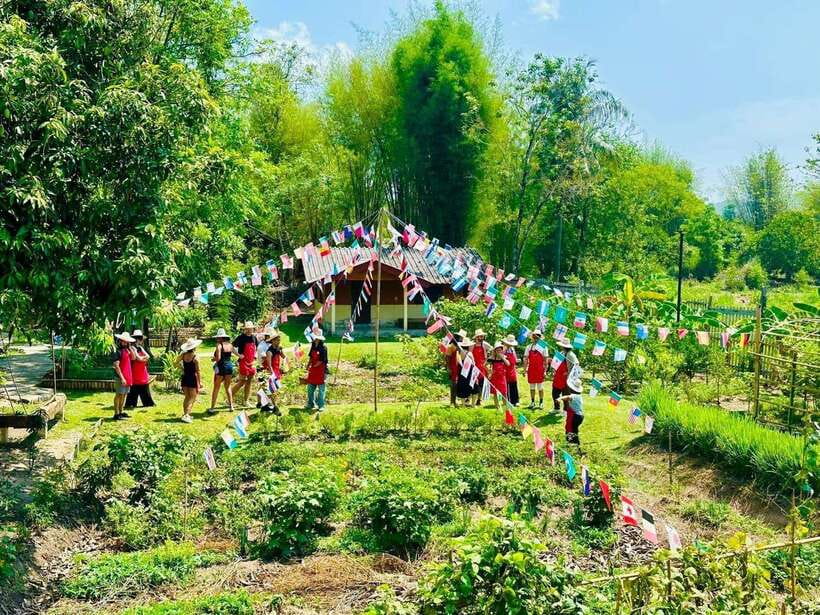 Chiang Mai: Half Day Cooking Class at Organic Farm - Market Time: Picking Herbs, Aromatics, and Curry-Paste Ingredients