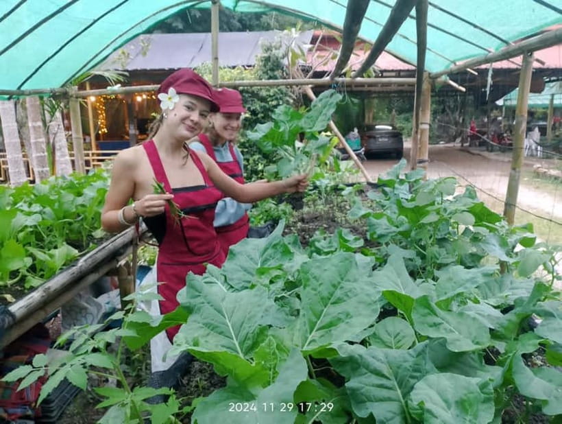 Chiang Rai:Lanna Home Cooking Class at Give Green Farm House - How Lanna Teaches: Patient, Hands-On, and Built for Beginners