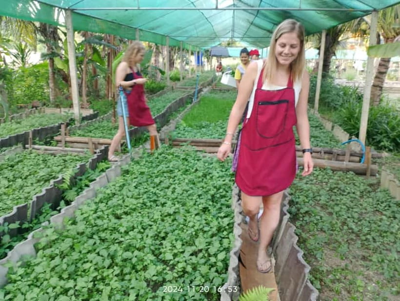 Chiang Rai:Lanna Home Cooking Class at Give Green Farm House - Practical Stuff You Should Know Before You Go
